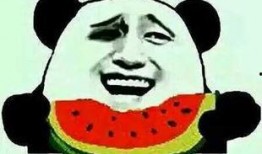 不干了 吃瓜爆料短剧吃瓜爆料大赛每日聚集地,吃瓜达人集结！揭秘“不干了”短剧背后的吃瓜爆料大赛每日聚集地