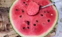 体育圈的天花板 吃瓜爆料大事件真相,吃瓜爆料大事件真相全解析